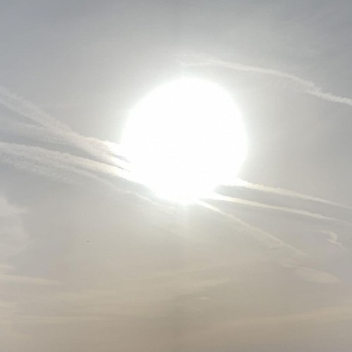 The Early Bird Show w/ Spirit Blue 111224