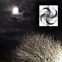 The Humours of Malice