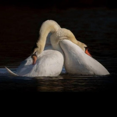 EDM Flex 29-11-2024 out of my mind_346.wav