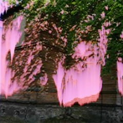 Ceļojums uz OMmmmmm zemi