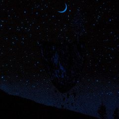 Nights