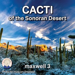 Cacti of the Sonoran Desert