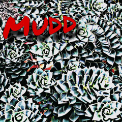Mudd