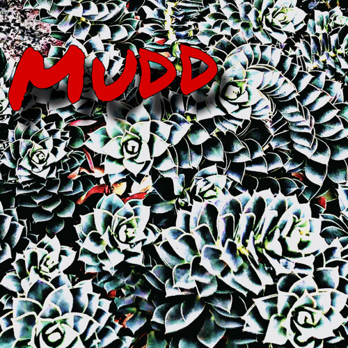 Mudd
