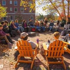 What is the UMaine Honors College experience?
