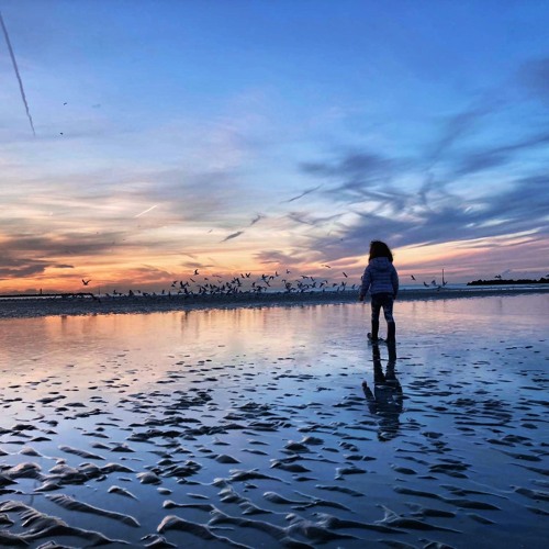 Jeff Talp - Rosie Green (acoustic live)