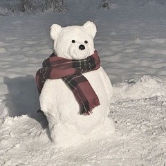 tell me your lonely chrismas (Soundtrack from Home Alone)