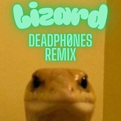 Lizard