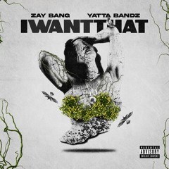 ZayBang & Yatta Bandz - I Want That