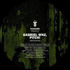 Pitch! - Discovery (Gabriel Wnz Rmx)[Ragnarøk] - Cut