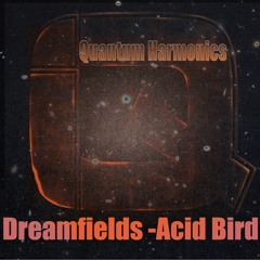 Dreamfields (Acid Bird)