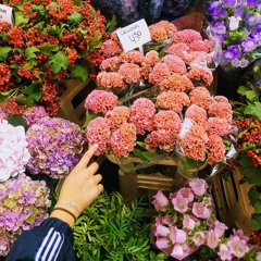 Adieu Tristesse -- Zazie (cover)