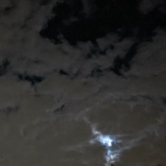 purgatory (open collab)