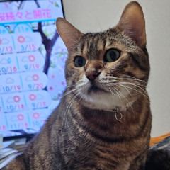 【初音ミク】Chacha【GUMI】