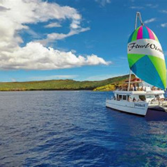 Best Four Winds Molokini Maui Snorkel Tour Prices Reviews