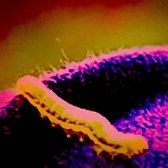 I Don't Wanna Go On With You Like That (Elton John Cover)