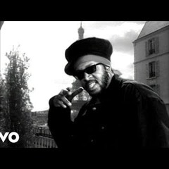 Ini Kamoze - Here Comes The Hotstepper (Remix) (Video)
