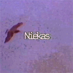 Katarsis - Niekas (speed up + reverb)