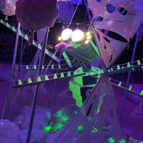 DREAMWEAVER - 09.02.22 - BURNING MAN 2022 - Sunrise Set on BAAAHS