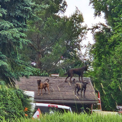 Clams Casino - I'm God (cover)