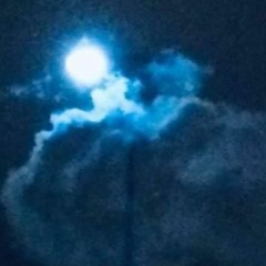 "lass baldrian tropfen" - mia hadžikadunić - 08/04