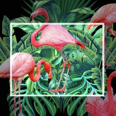 Tennan - Tropical Mood (Original Mix) FREE DL