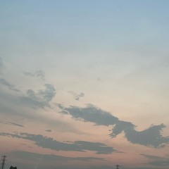 Flights