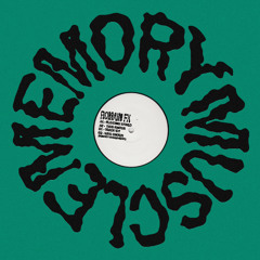 PREMIERE: Romain FX - Track ID [Memory Muscle]