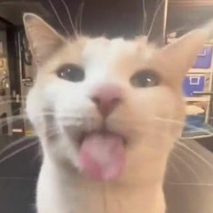 silly playlist :P