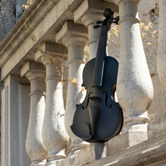 LIGHT MUSIC
