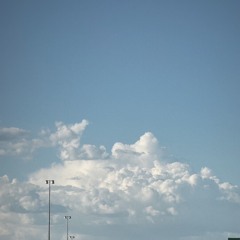 WHAT DO FOGGY MINDS THINK ABOUT