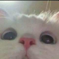 Im sorry about all the trouble I caused trend.mp3