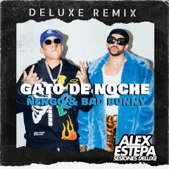 GATO DE NOCHE - BAD BUNNY FT ÑENGO FLOW (ALEX ESTEPA EXTENDED EDIT 100 BPM)