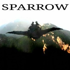 Remedy - Sparrow