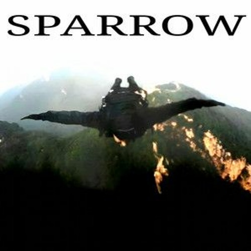 Remedy - Sparrow