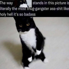 Lil Uzi Vert - Don't Follow Rules (Prod. Oogie Mane)