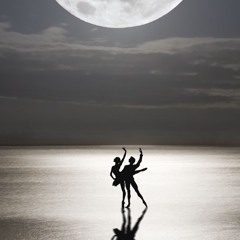 Moonlight Dance Serenade