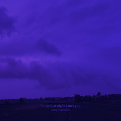 i miss that night i met you