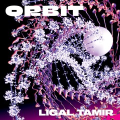 Ligal Tamir @ p.ara | orbit | ZfK x Zucker | Feb 24