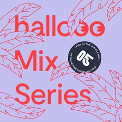 Hallooo Mix Series No. 5 – Slow Fire Disco Machine