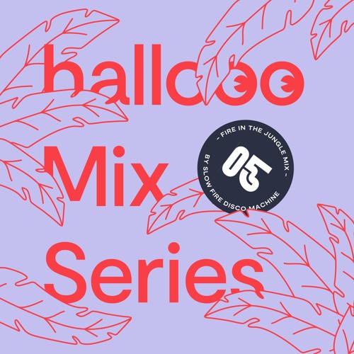 Hallooo Mix Series No. 5 – Slow Fire Disco Machine