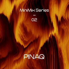 MiniMix 02 | PINAQ | Running Tribal & Dubby Groove