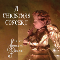 Wonderful Christmastime