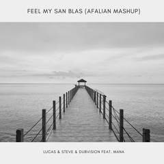 Feel My San Blas (Afalian Mashup) - Lucas & Steve & Dubvision Feat. Mana