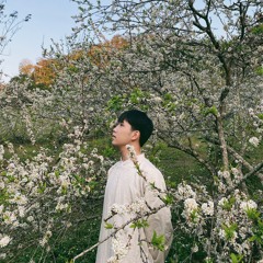 Mùa Xuân Đầu Tiên (Lofi Ver.)