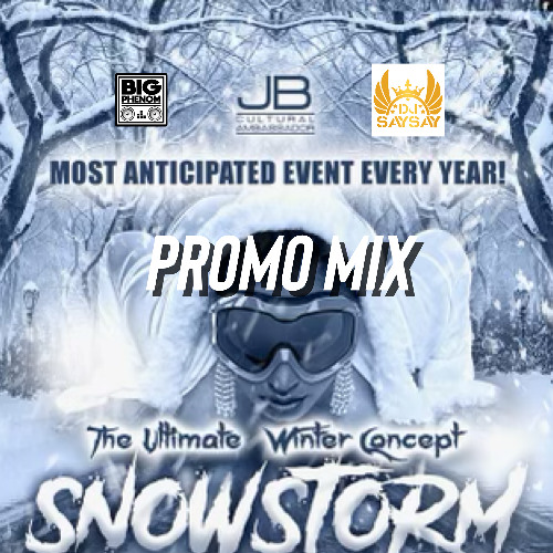 Snowstorm 2025 Promo Mix. Feat Jason Benn & DJ Say Say