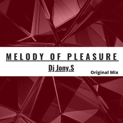 Melody of Pleasure(original mix)