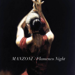 Flamenco Night (Original Mix)