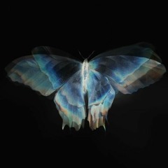 WHIP IT FREESTYLE [ft. HONEYTHEKID, BLE$$ED PLAYA]