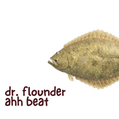 dr flounder ahh beat